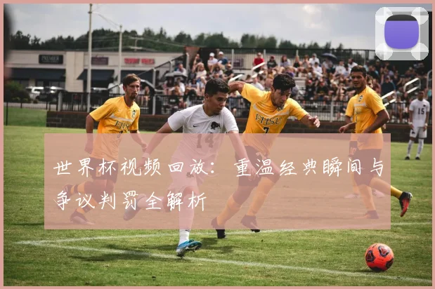 世界杯视频回放：重温经典瞬间与争议判罚全解析