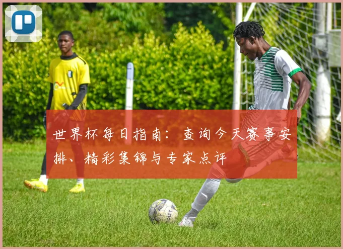 世界杯每日指南：查询今天赛事安排、精彩集锦与专家点评